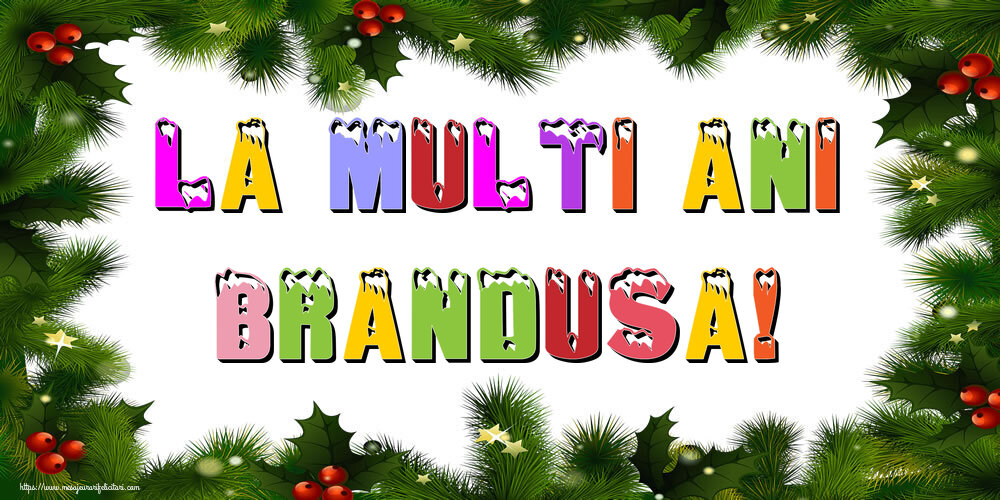 Felicitari de Anul Nou | La multi ani Brandusa!