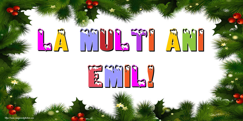 Felicitari de Anul Nou | La multi ani Emil!