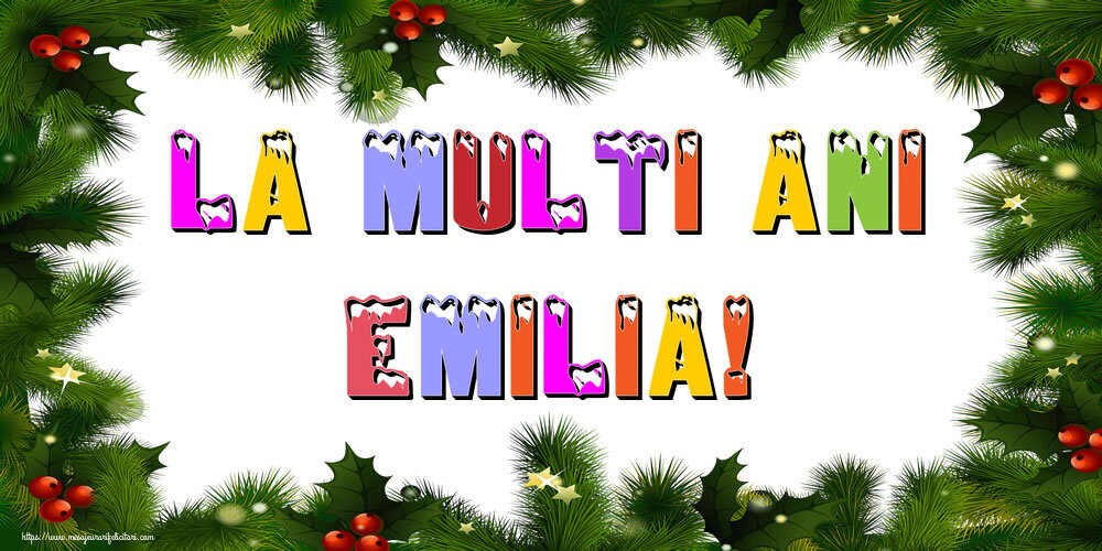Felicitari de Anul Nou | La multi ani Emilia!