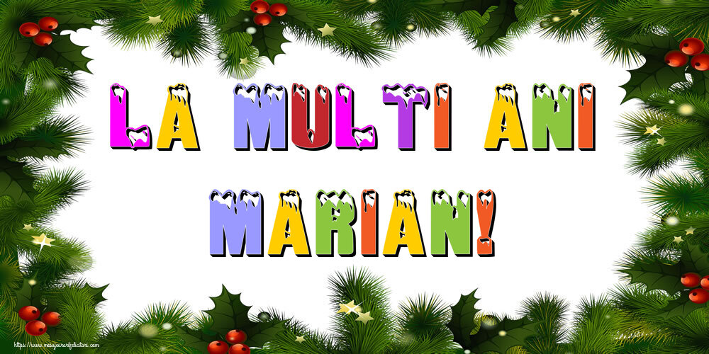 Felicitari de Anul Nou | La multi ani Marian!