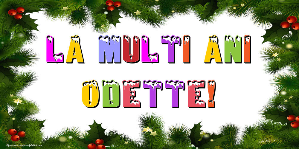 Felicitari de Anul Nou | La multi ani Odette!