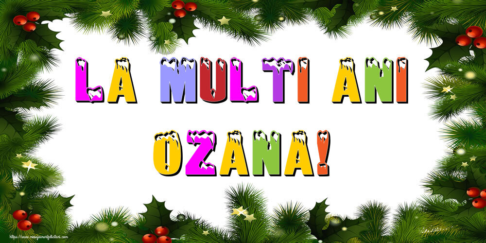 Felicitari de Anul Nou | La multi ani Ozana!