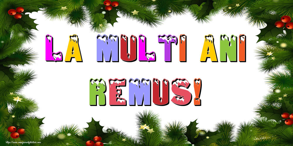 Felicitari de Anul Nou | La multi ani Remus!
