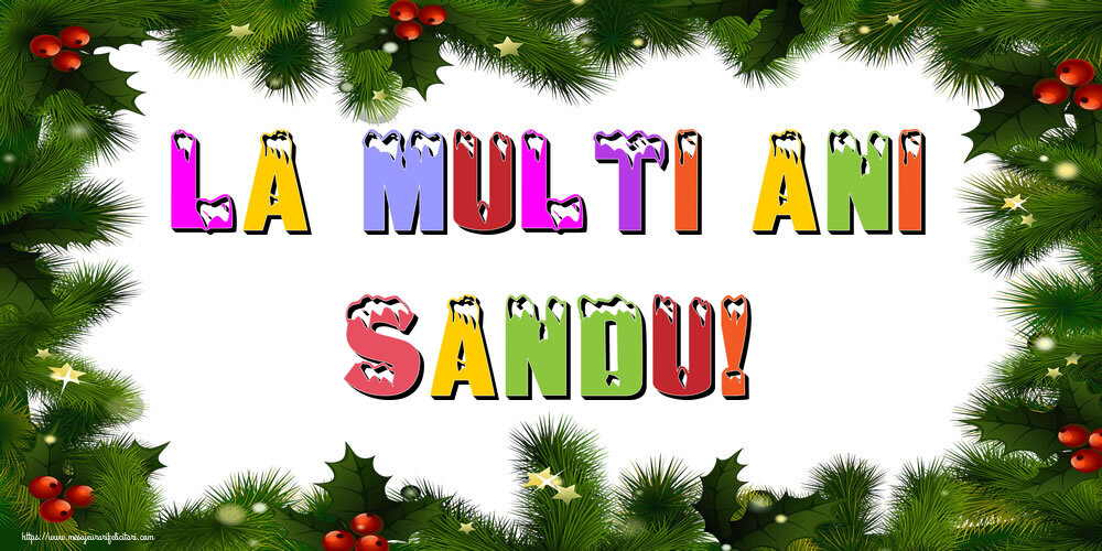 Felicitari de Anul Nou | La multi ani Sandu!