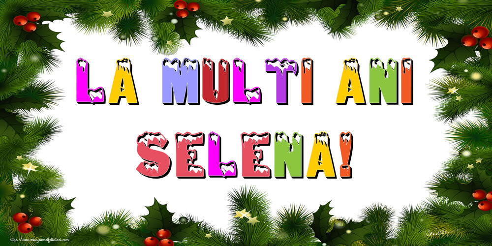  Felicitari de Anul Nou | La multi ani Selena!