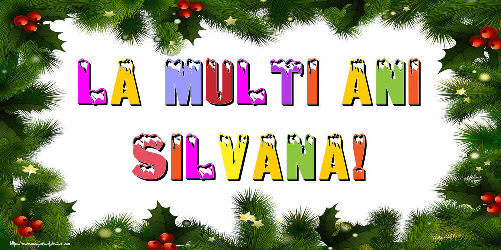 Felicitari de Anul Nou | La multi ani Silvana!