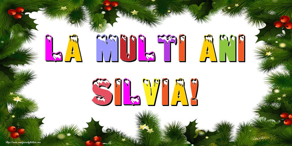 Felicitari de Anul Nou | La multi ani Silvia!