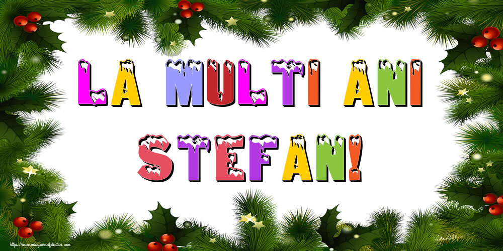 Felicitari de Anul Nou | La multi ani Stefan!