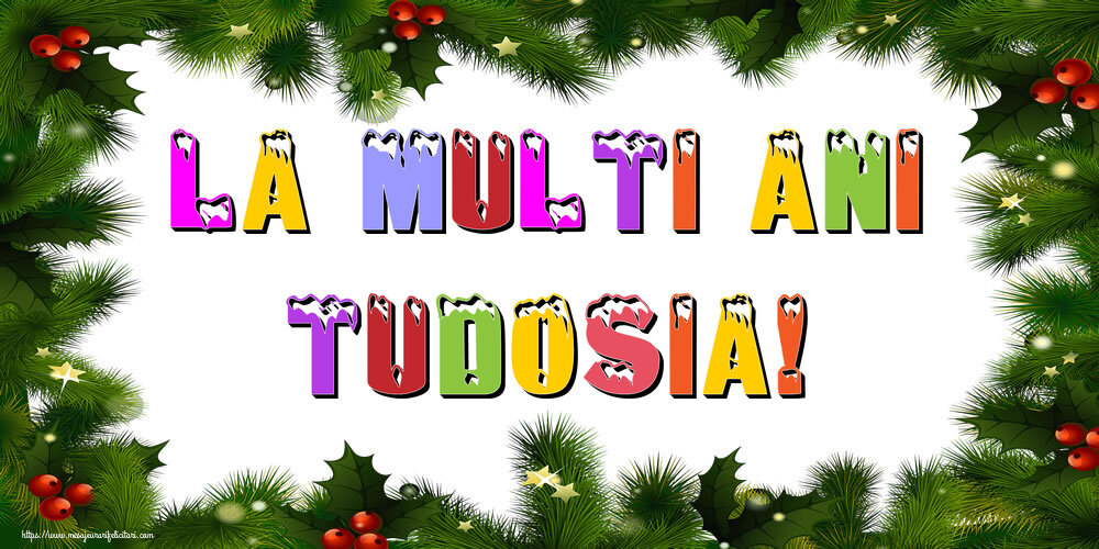 Felicitari de Anul Nou | La multi ani Tudosia!