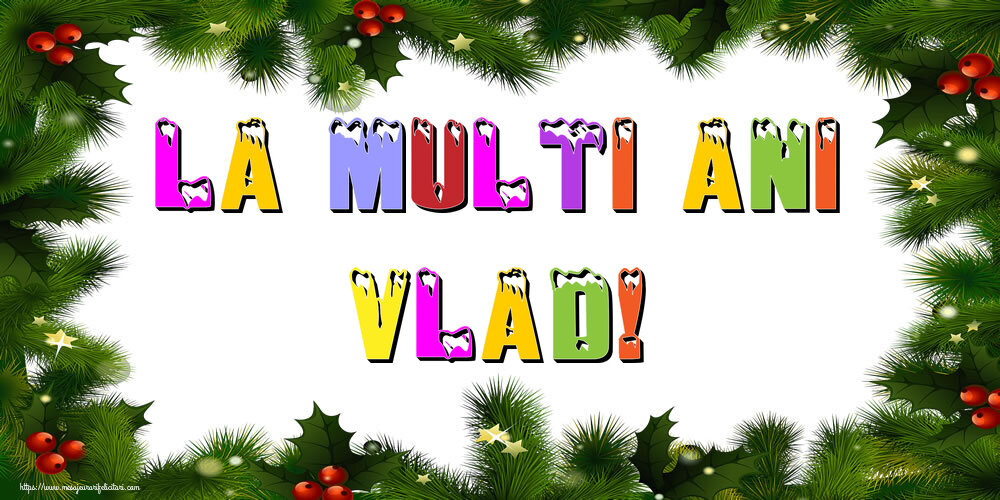 Felicitari de Anul Nou | La multi ani Vlad!