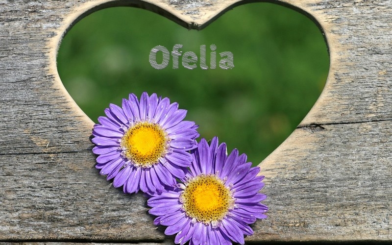 Felicitari de dragoste | Ofelia